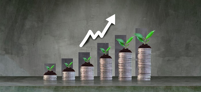 composition-financement-investissement-de-depart-franchise-ViaSpher